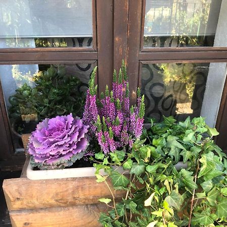 Ancienne Maisonnette 아오스타 외부 사진