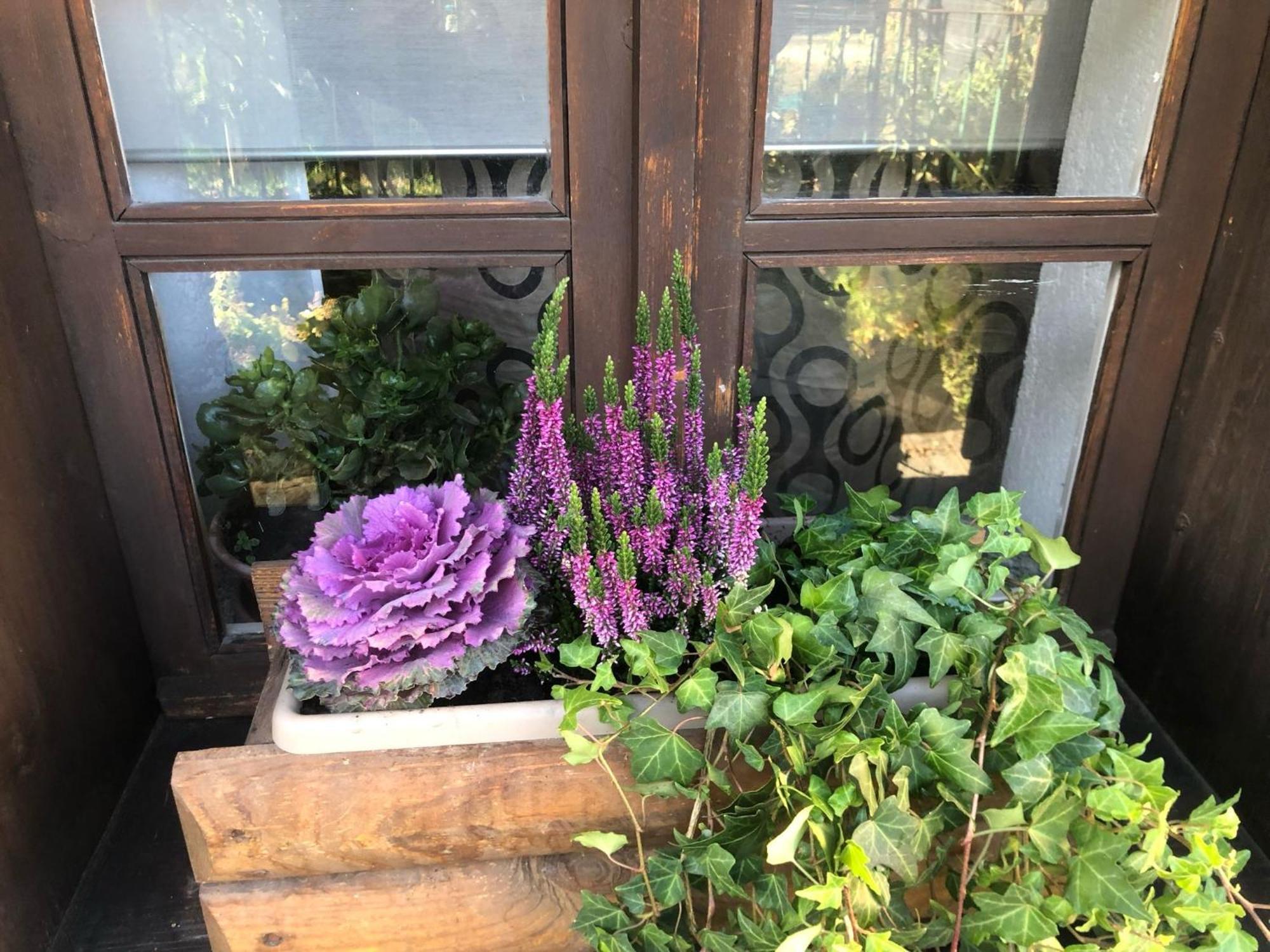 Ancienne Maisonnette 아오스타 외부 사진