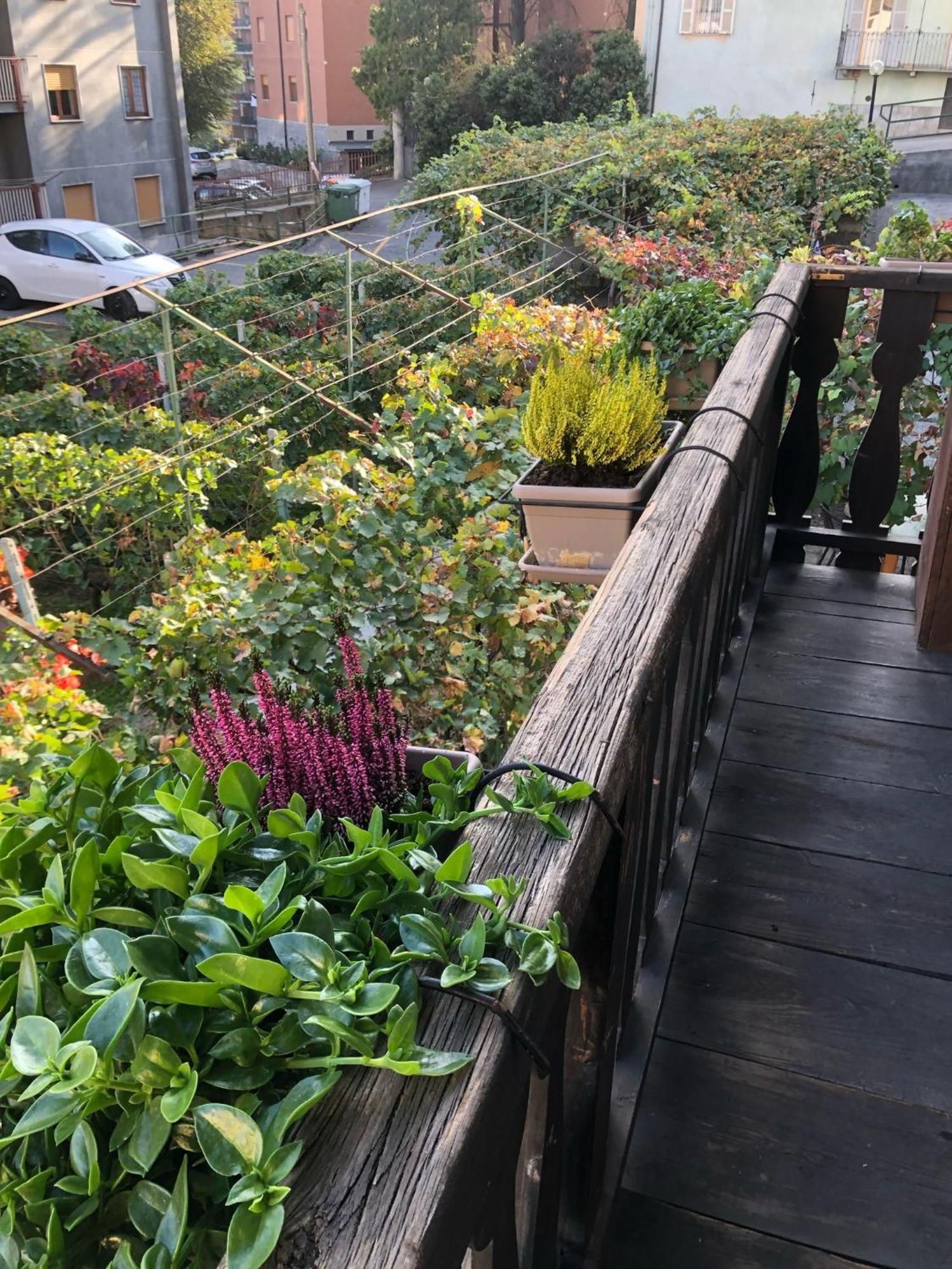 Ancienne Maisonnette 아오스타 외부 사진